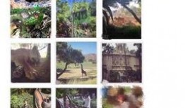 美国知情人爆料视频大全,独家爆料视频大全深度解析